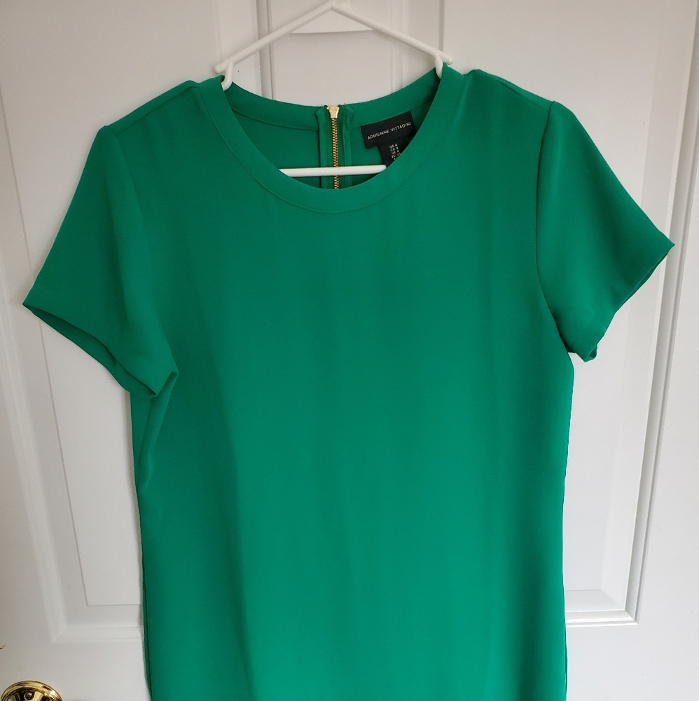 Adrienne Vittadini Green Shift Dress Size 4